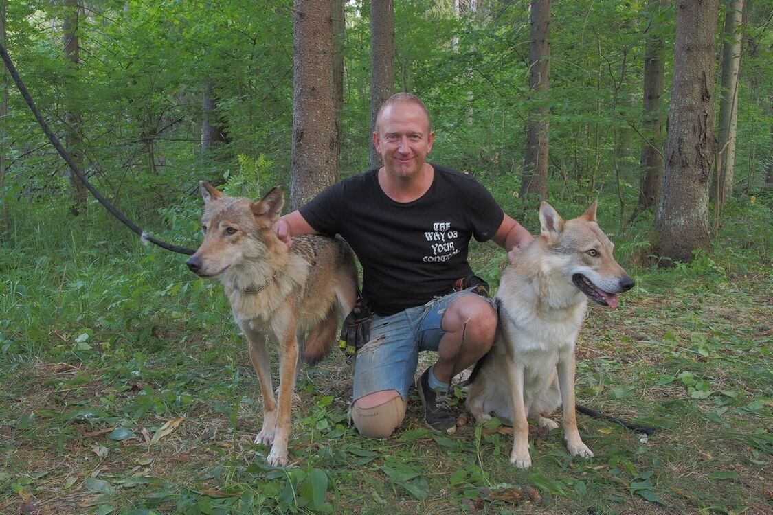 ���������� �����, ���� ������� �������, 44 ����, ������������ ��� ������, ����� � ���������, c�������� ���������