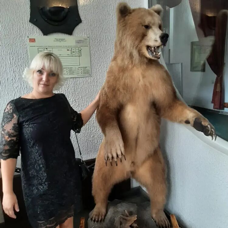 ���� 39295122 ������� ��������, 40 ���, ���� ���������� � ���������