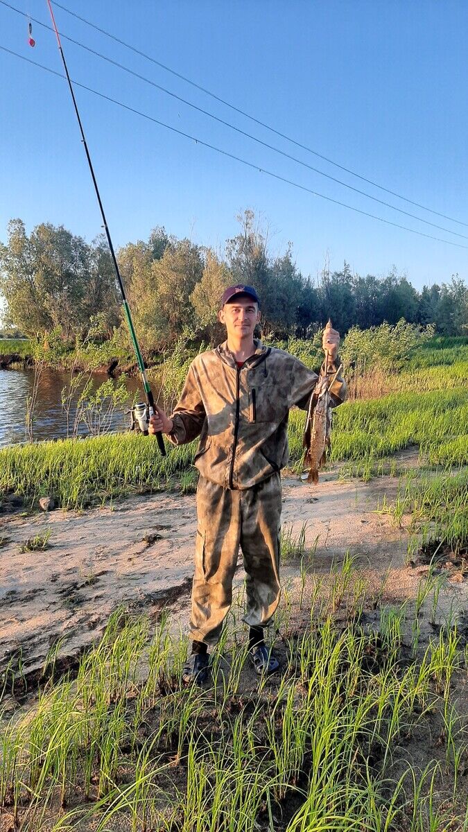 ���������� �������������, ���� ������� �������, 36 ���, ������������ ��� ������, ����� � ���������, c�������� ���������