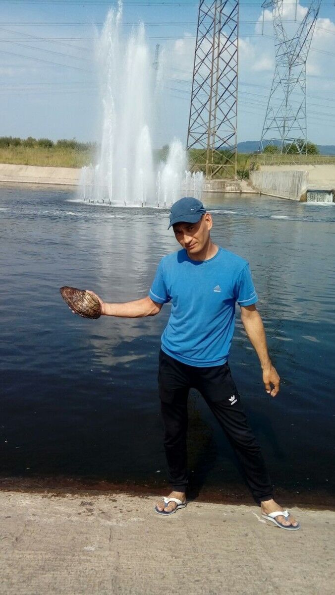  9933122  , 41 ,    