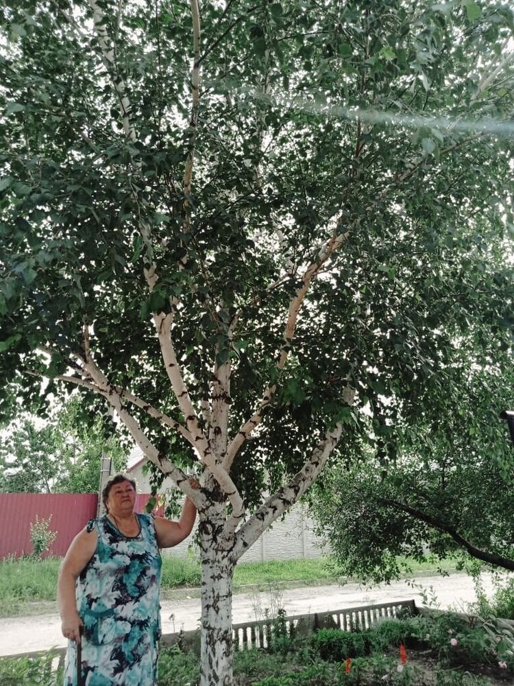  --,    , 71 ,   ,   , 
