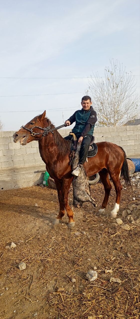  42765802  Nasimjon, 30 ,    