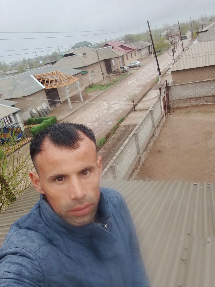  50835072  , 31 ,    
