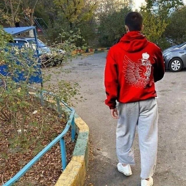 ���� 36640442 ����� �����, 23 ����, ���� ���������� � ����������