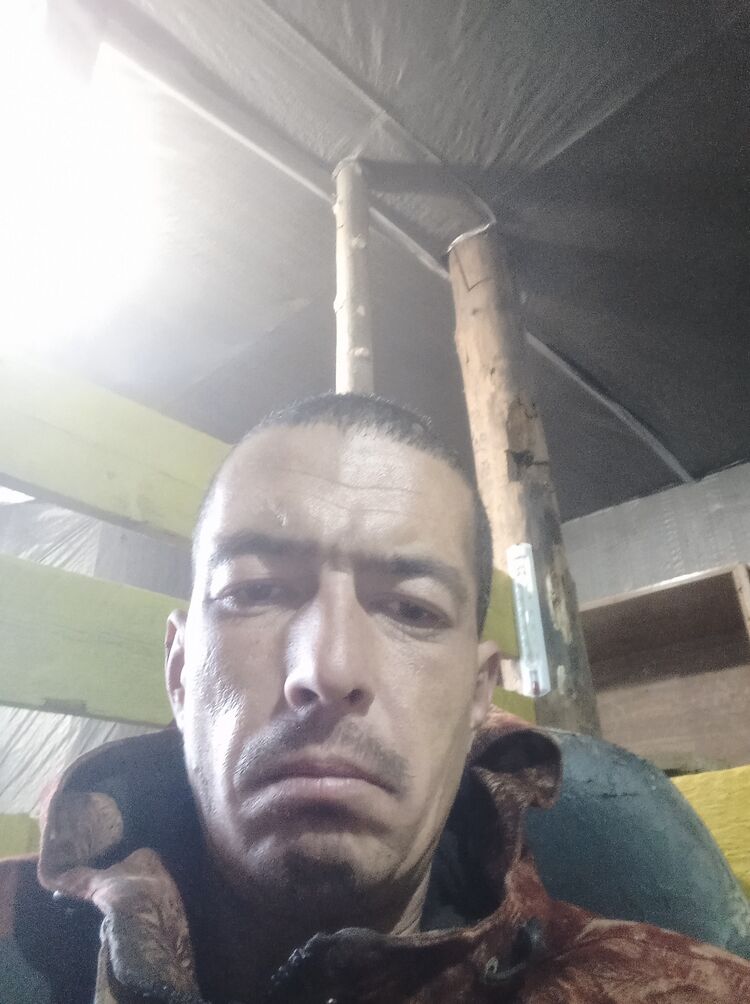  47342342  , 36 ,    