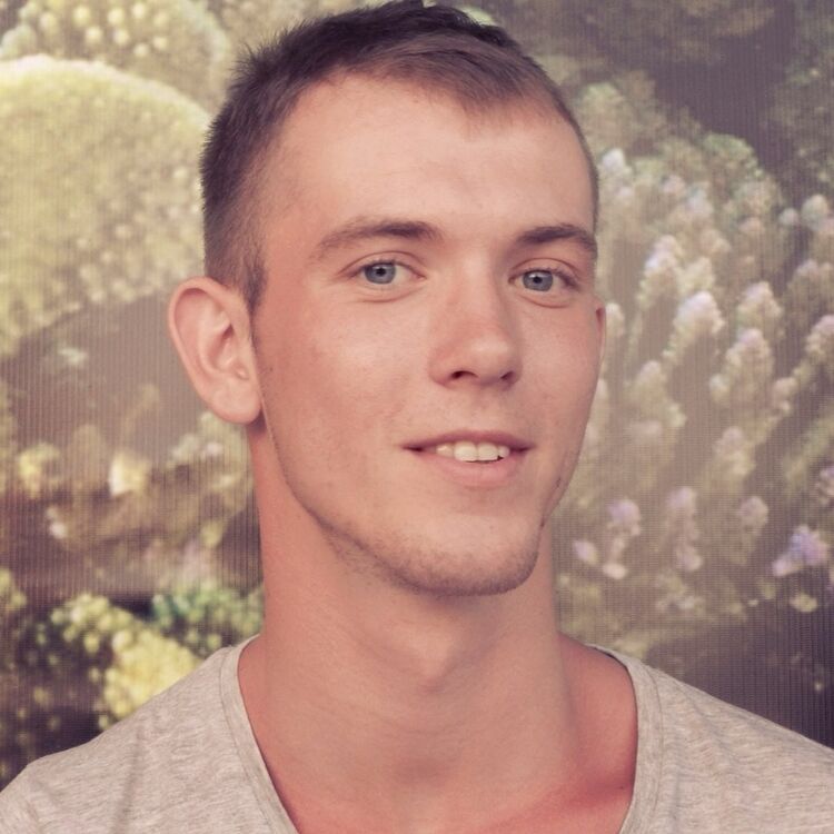 ���� 9622312 ������� ����, 31 ���, ���� ���������� � ������