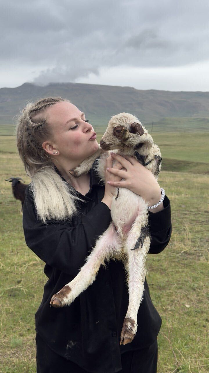 ���������� ���������, ���� ������� �����, 26 ���, ������������ ��� ����� � ���������, c�������� ���������, ���������