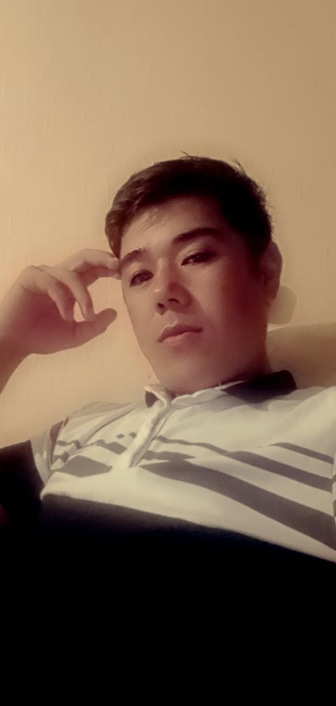  31054732  , 33 ,    