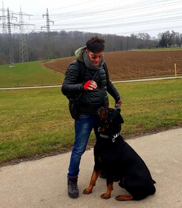 ���������� �������, ���� ������� David, 46 ���, ������������ ��� ������, ����� � ���������, c�������� ���������