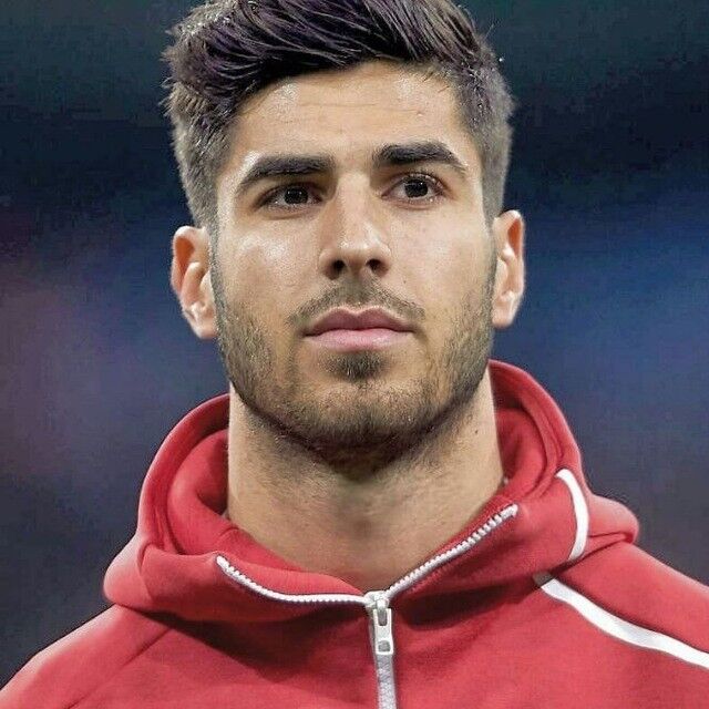 ���� 15109972 ������� ����, 30 ���, ���� ���������� � ����������