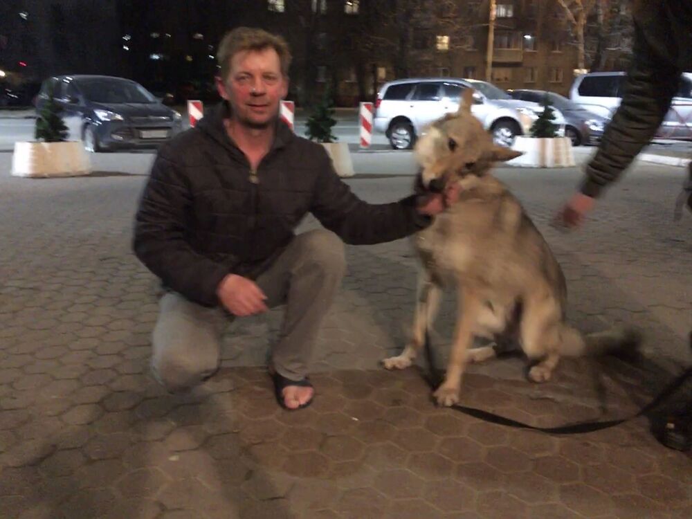 ���������� ������, ���� ������� ���������, 51 ���, ������������ ��� ������, ����� � ���������