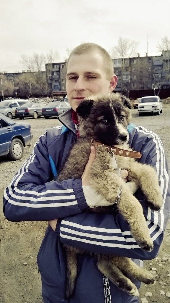 ���������� ��������, ���� ������� ��������, 32 ����, ������������ ��� ������, ����� � ���������, c�������� ���������