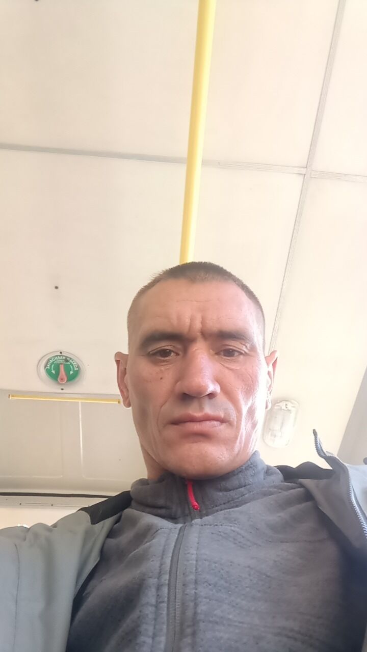  47511602  , 41 ,    