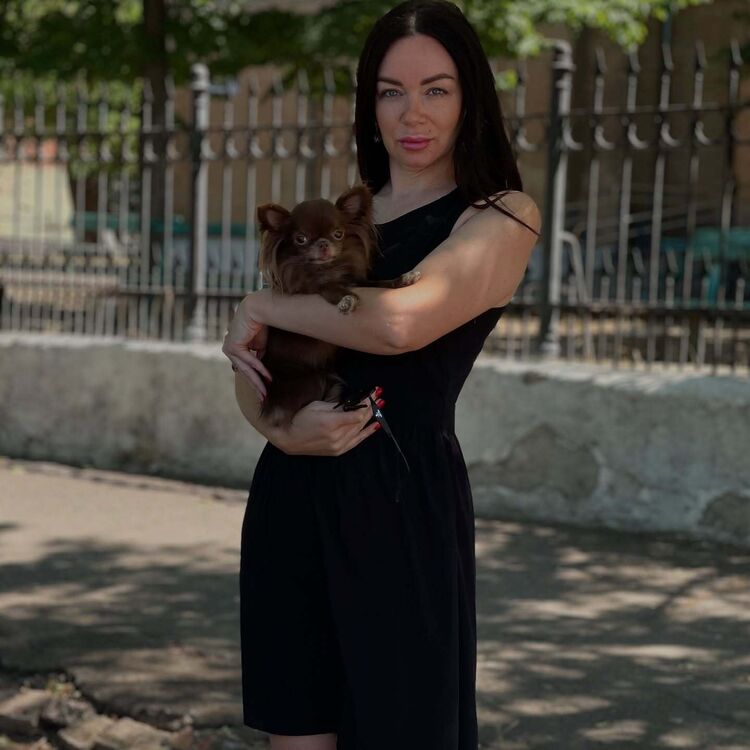 ���� 52892962 ������� �����, 33 ����, ���� ���������� � �������