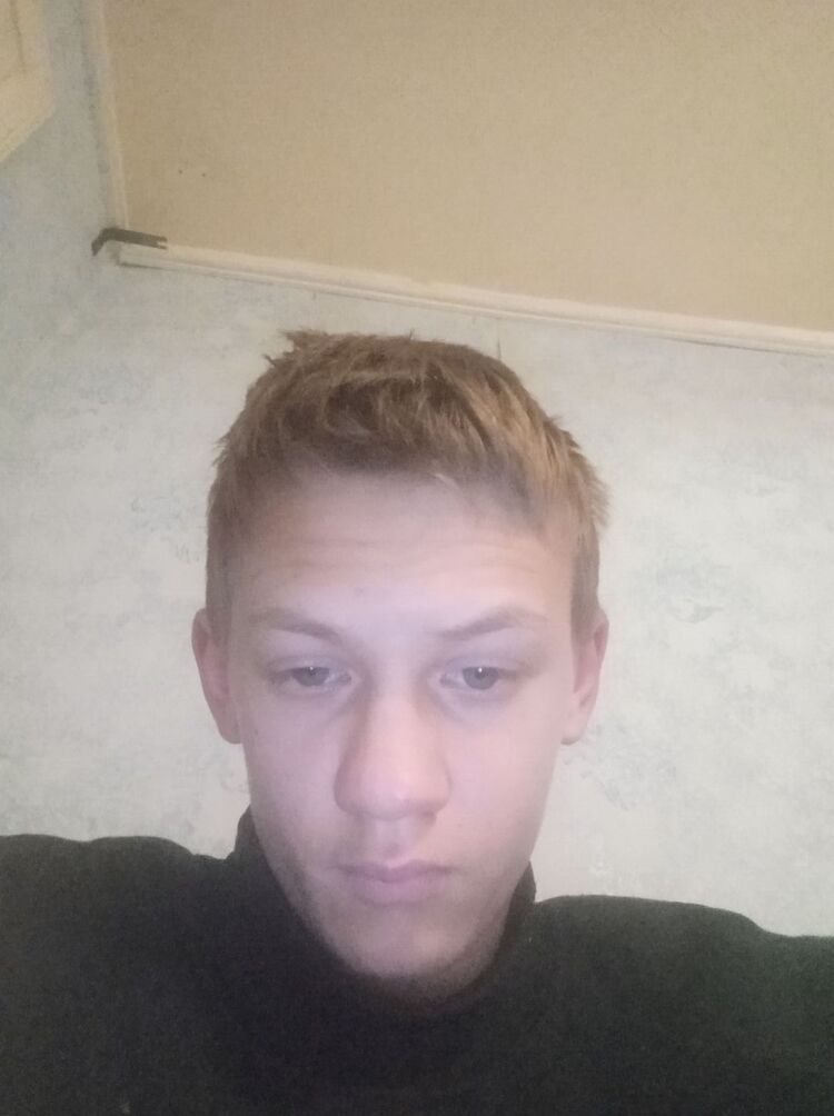  33278082  , 20 ,    