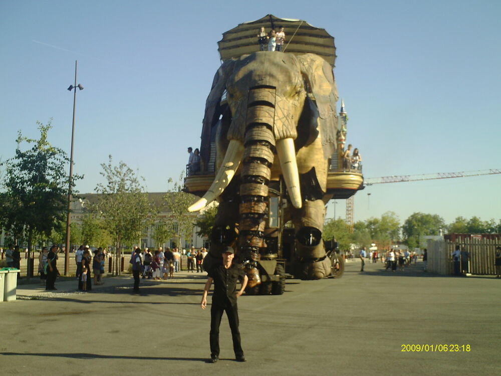  10199282  Artis, 42 ,    