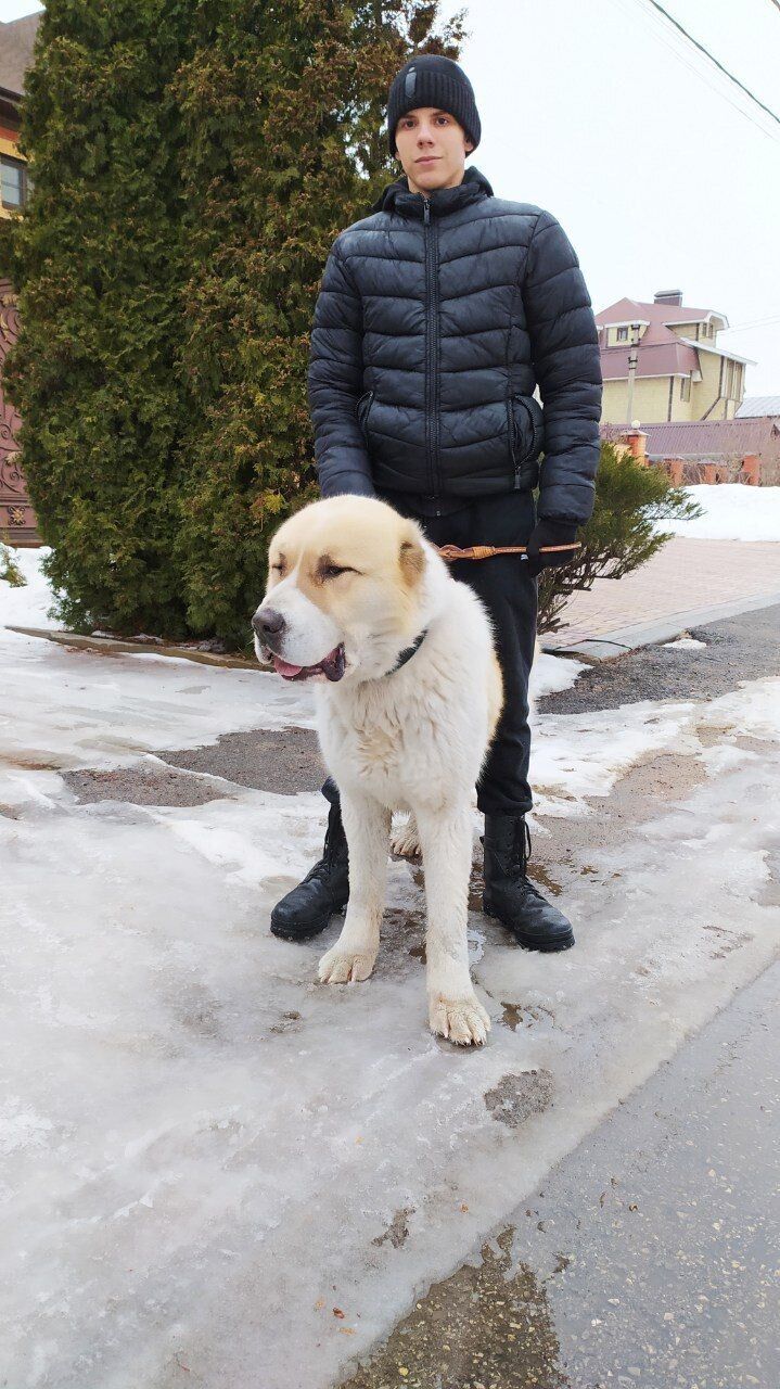 ���� 37883882 ����� ������, 20 ���, ���� ���������� � �������