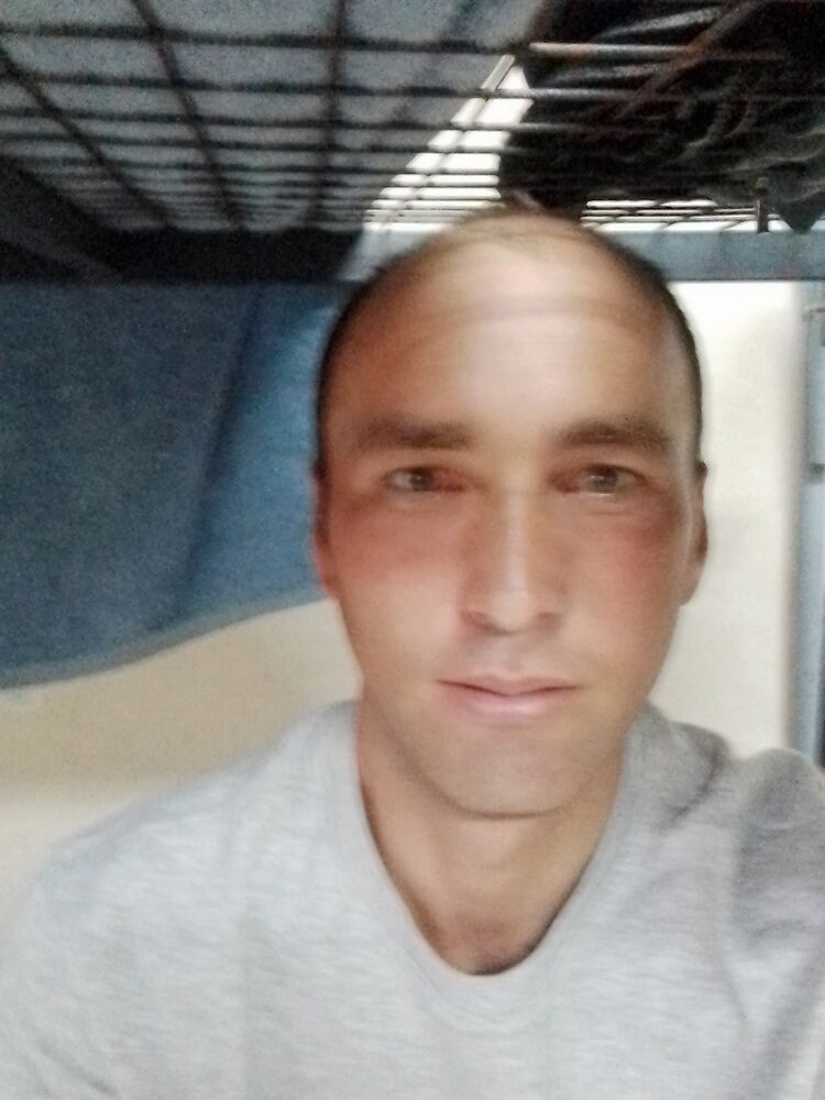  42366822  , 28 ,    