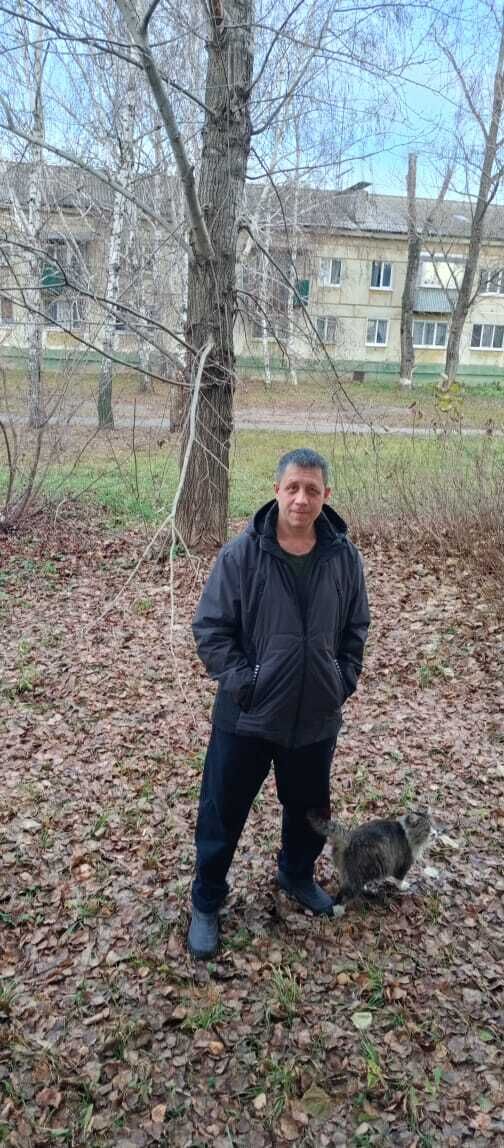 ���������� ���������, ���� ������� ���������, 47 ���, ������������ ��� ������, ����� � ���������, c�������� ���������, ���������