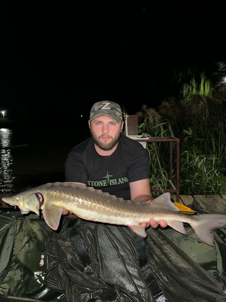 ���������� ���������, ���� ������� ���������, 34 ����, ������������ ��� ������