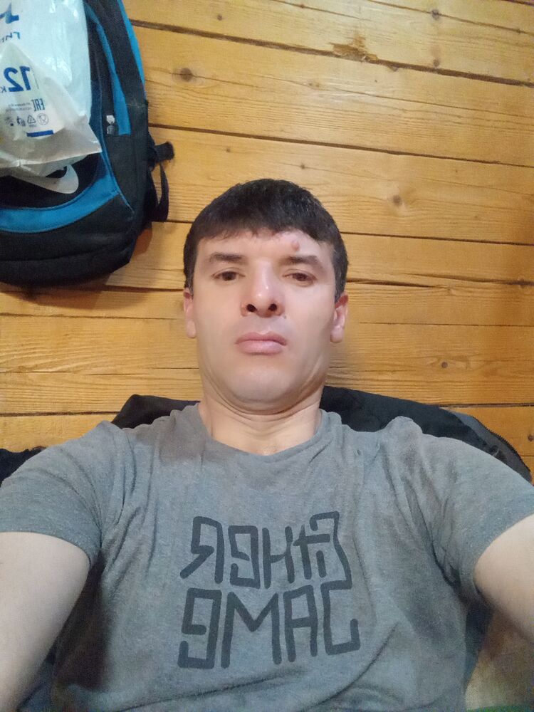  33591252  , 43 ,    