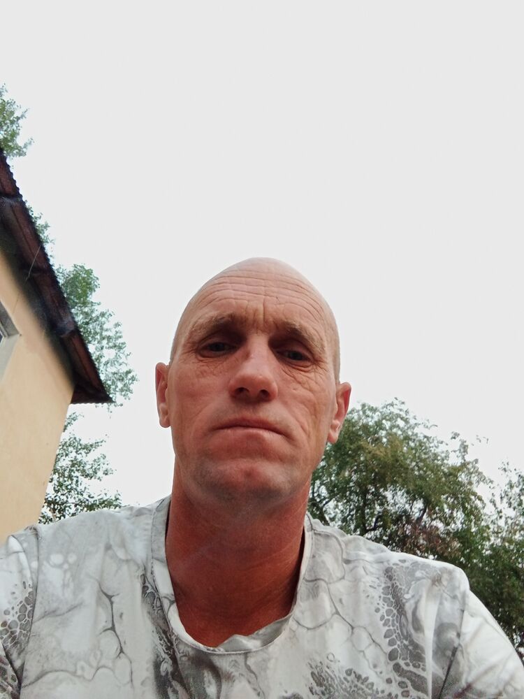  45564422  , 43 ,    