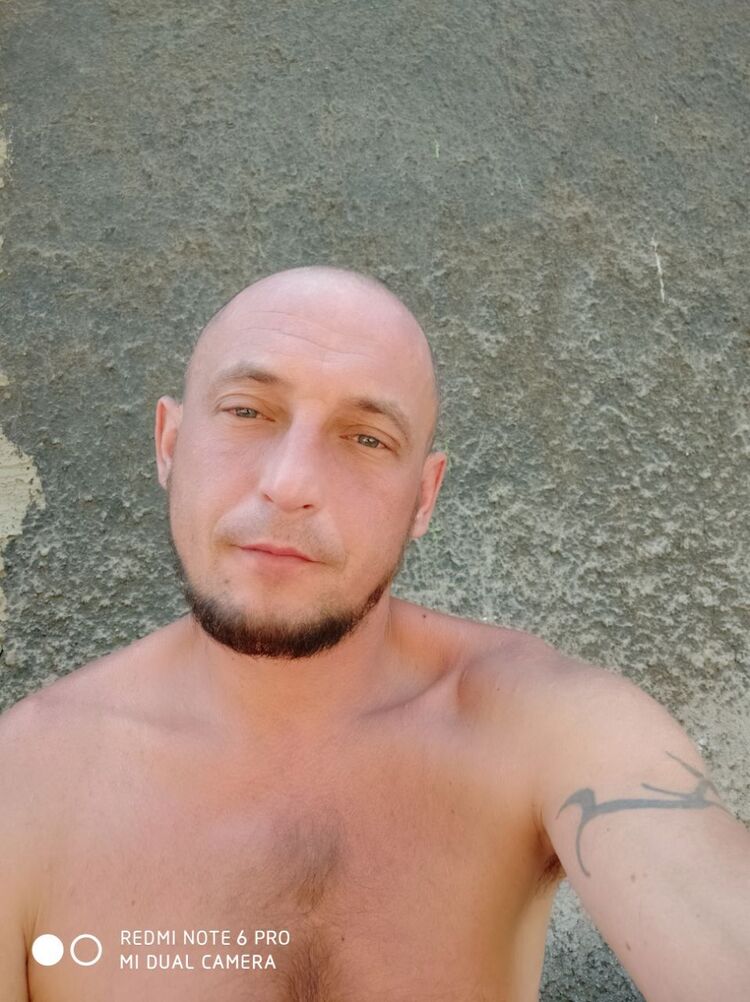  45561342  , 39 ,    -