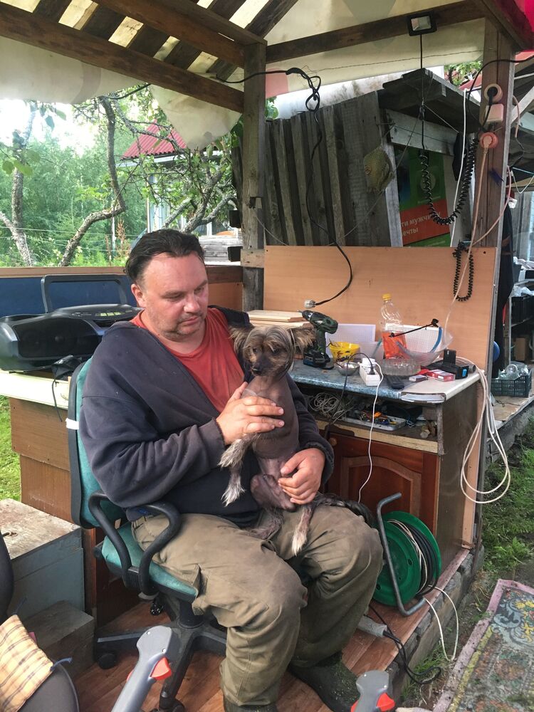  54306112  , 51 ,    -