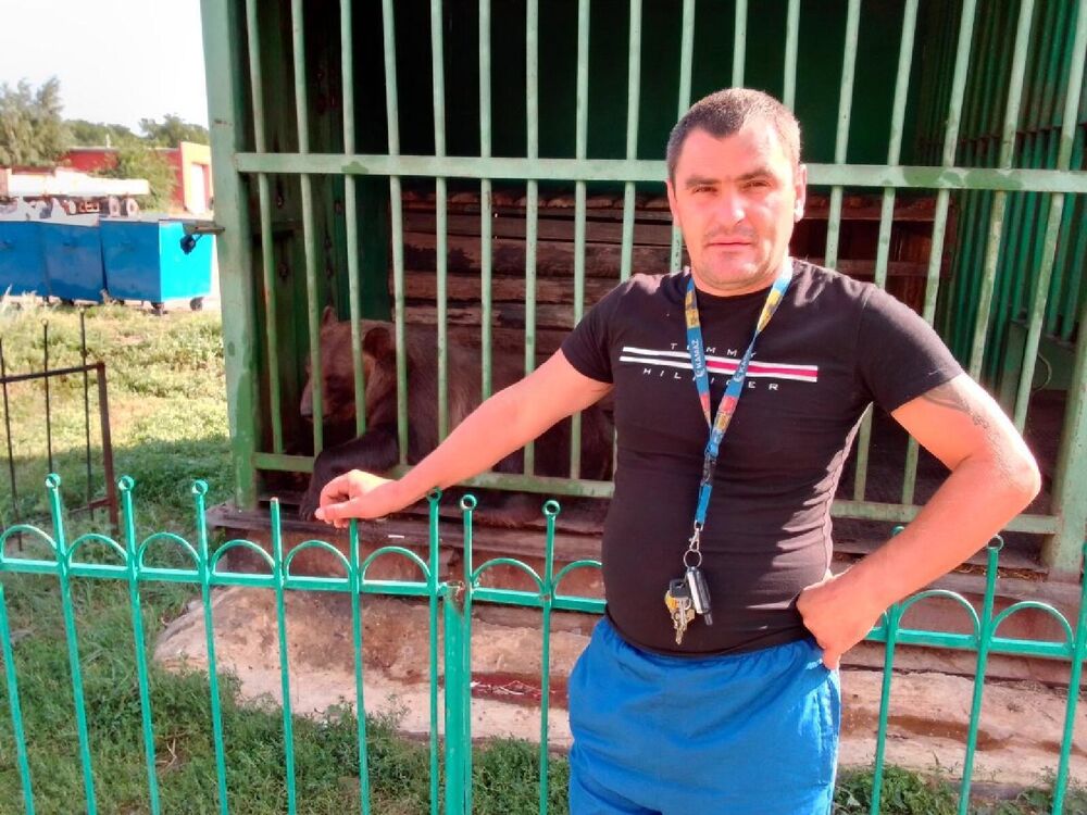 ���� 31245512 ������� ���������, 44 ����, ���� ���������� � ����������