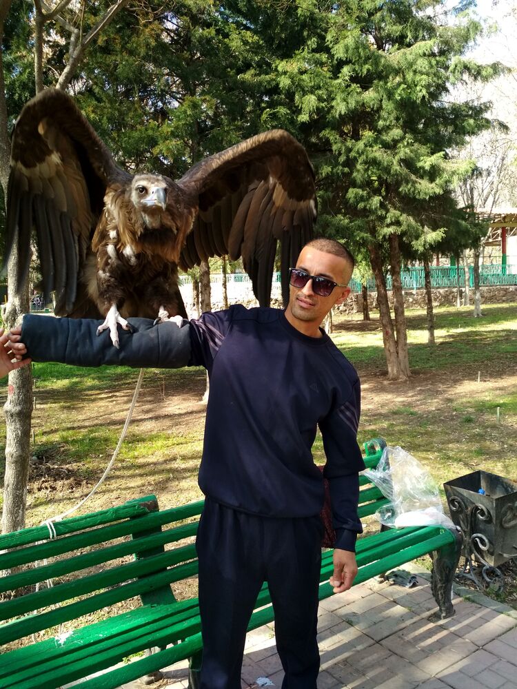 ���������� �������, ���� ������� Ikrom, 38 ���, ������������ ��� ������, ����� � ���������