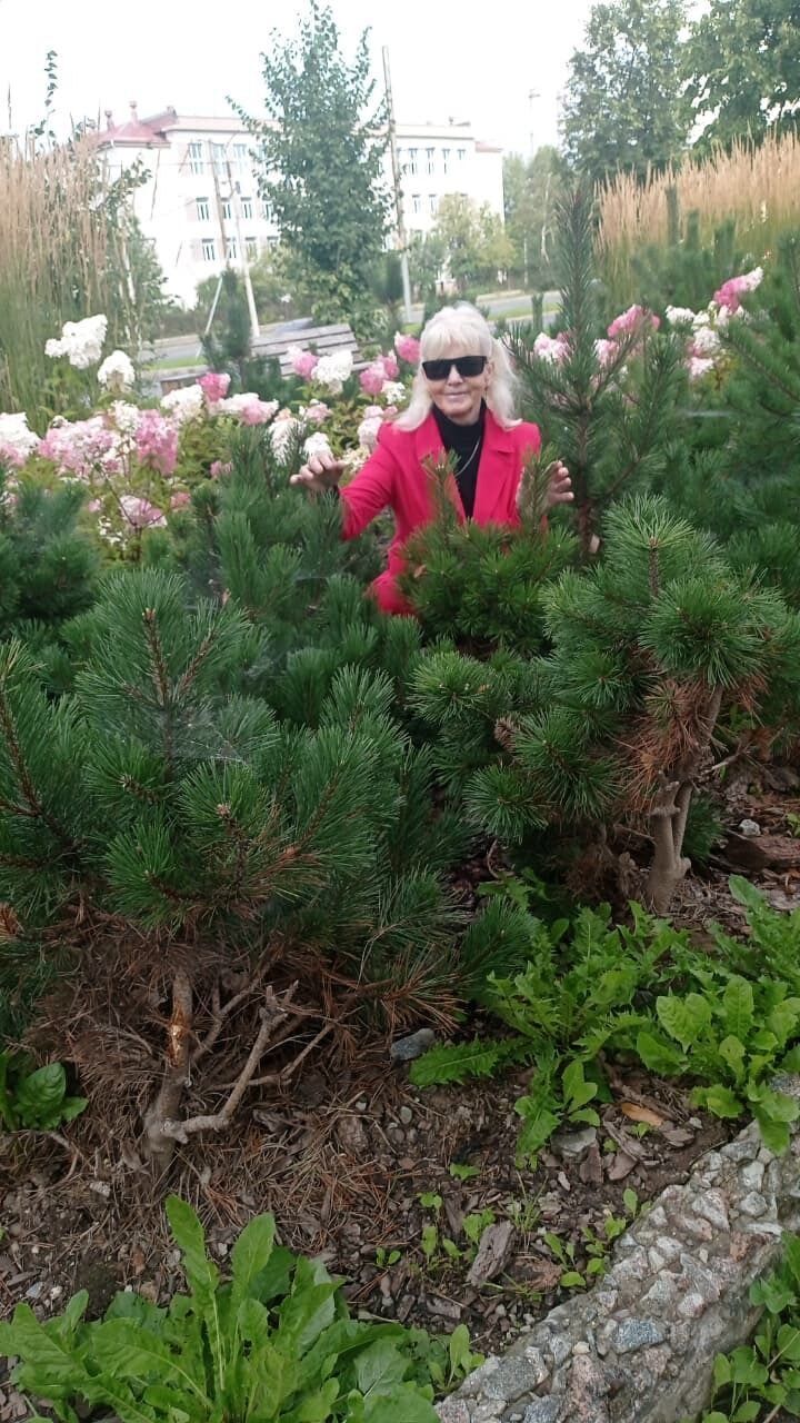 ���������� ���������, ���� ������� ��������, 67 ���, ������������ ��� c�������� ���������