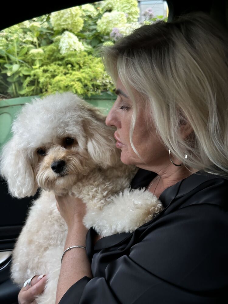 ���������� ������, ���� ������� �����, 53 ����, ������������ ��� ������, ����� � ���������