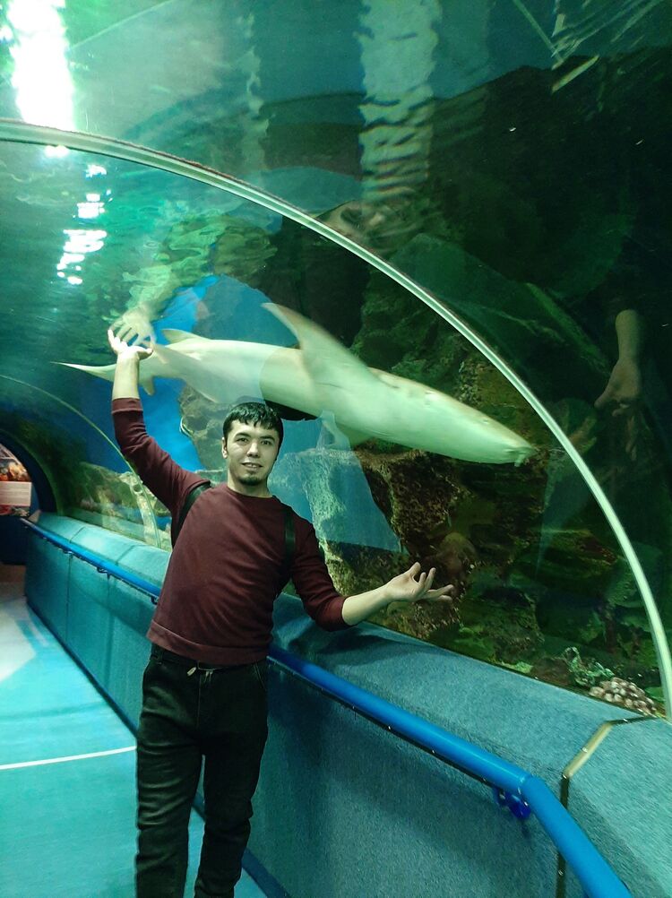 ���������� �����-���������, ���� ������� ������� ����, 32 ����, ������������ ��� ������, ����� � ���������