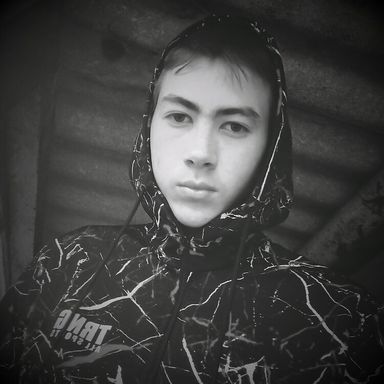 ���� 44453152 ����� �����, 20 ���, ���� ���������� � �����������