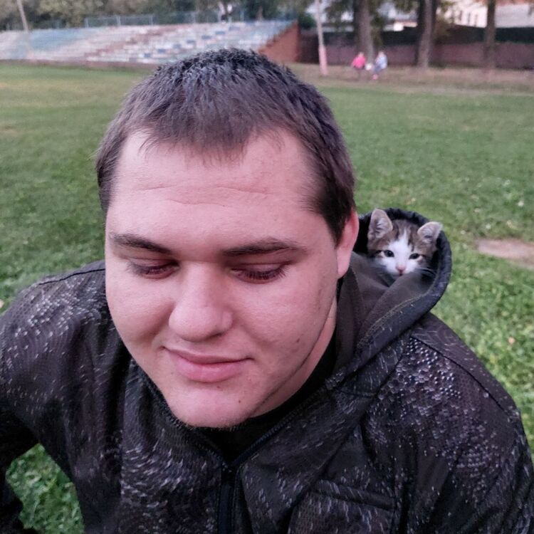  -,   , 24 ,   ,   , c 
