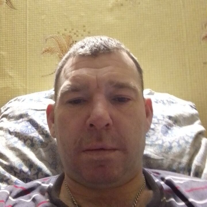  47316542  , 41 ,    