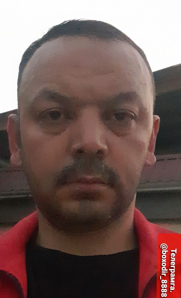 ���� 24542582 ������� Boxodir, 45 ���, ���� ���������� � ��������