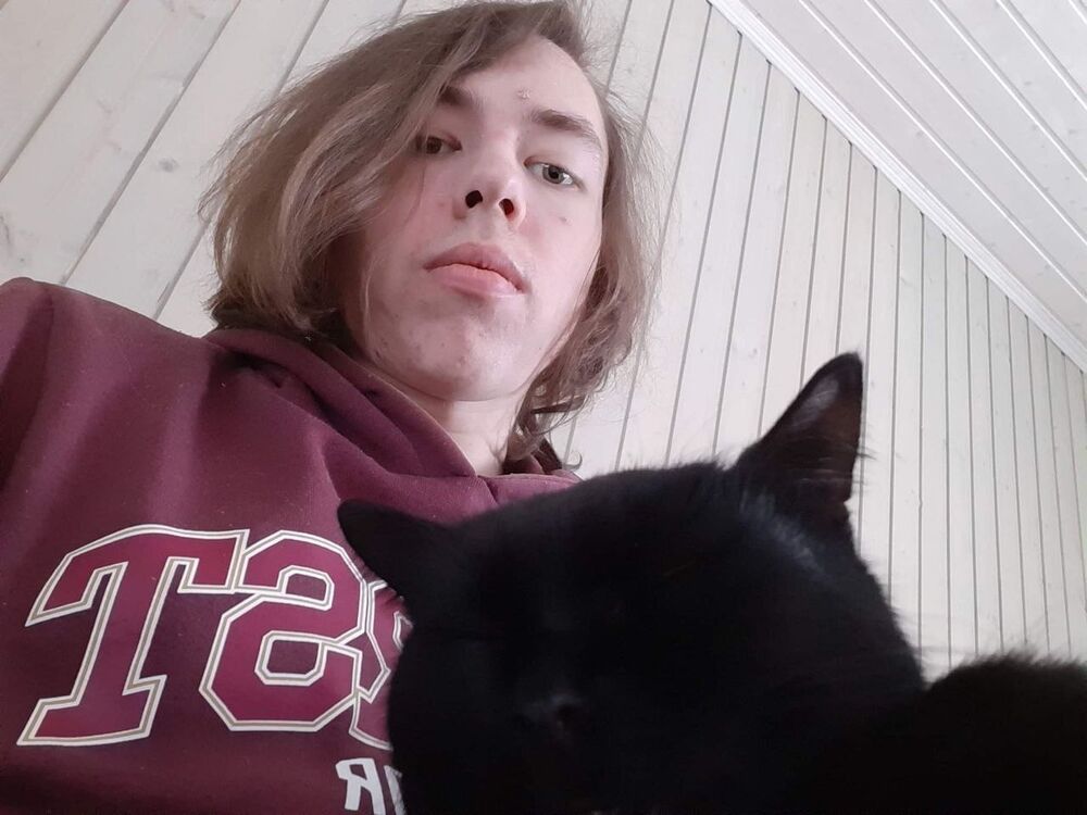  54548842  , 29 ,    -