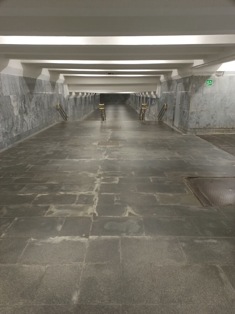 ���� 45773242 ������� ����, 37 ���, ���� ���������� � �������������