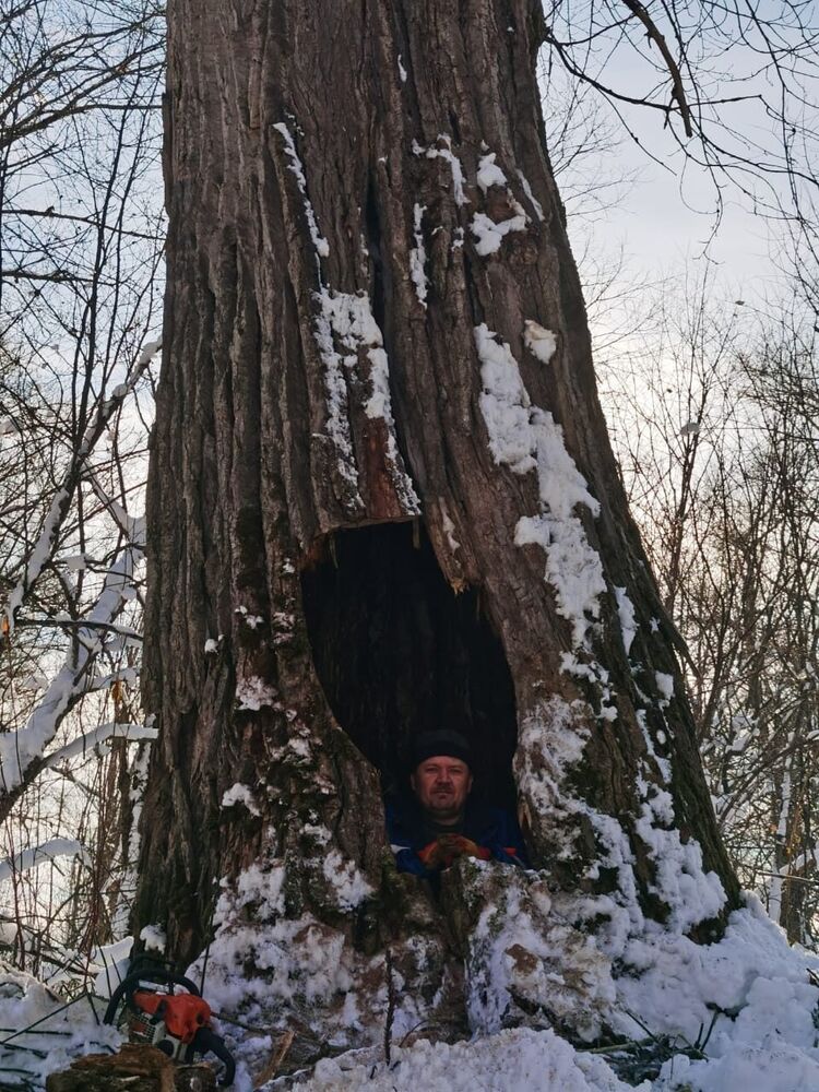 ���� 55258942 ������� ��������, 41 ���, ���� ���������� � ���������