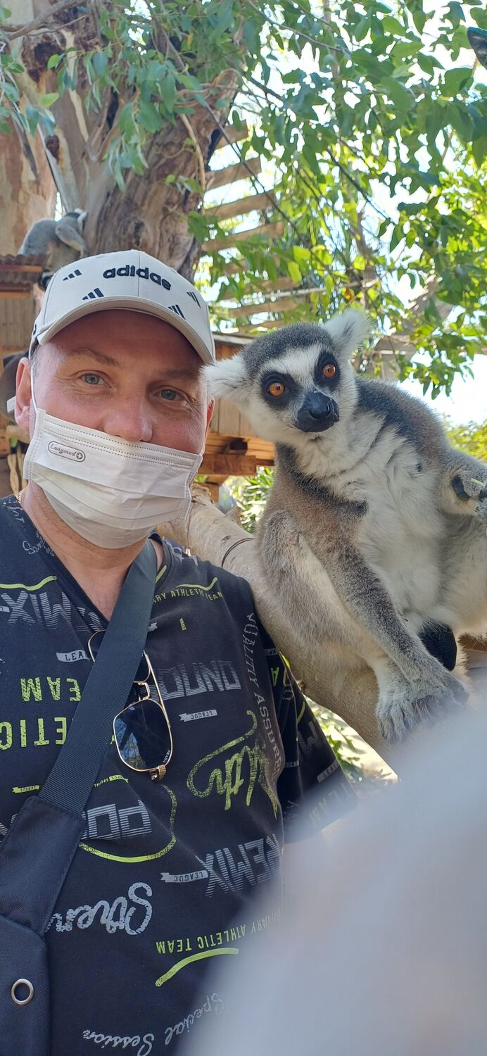 ���������� ����������, ���� ������� ���������, 46 ���, ������������ ��� ������, ����� � ���������