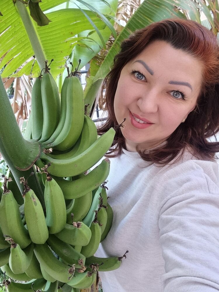 ���������� ������, ���� ������� �������, 50 ���, ������������ ��� ����� � ���������, c�������� ���������