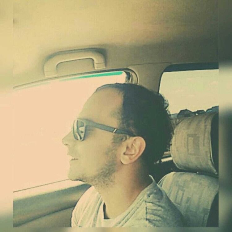  33153112  , 41 ,    