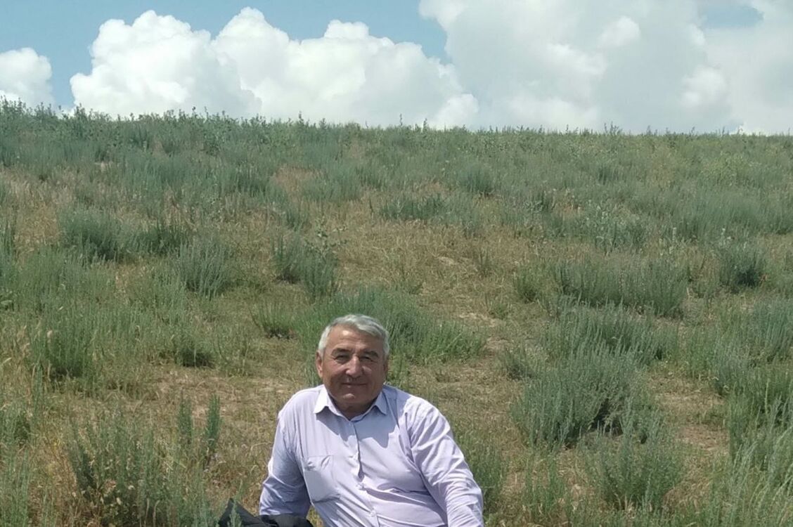 ���� 54871252 ������� ���������, 57 ���, ���� ���������� � �����