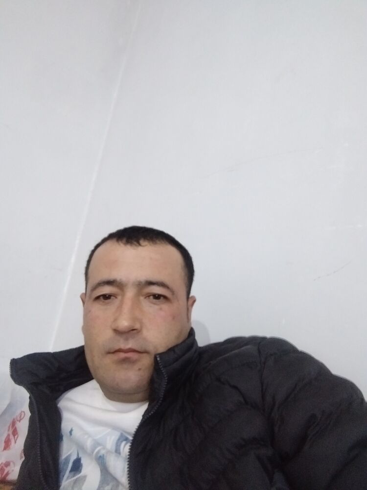  25304032  , 40 ,    