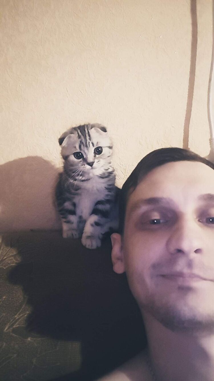 ���������� ���������, ���� ������� ����, 34 ����, ������������ ��� ������, ����� � ���������