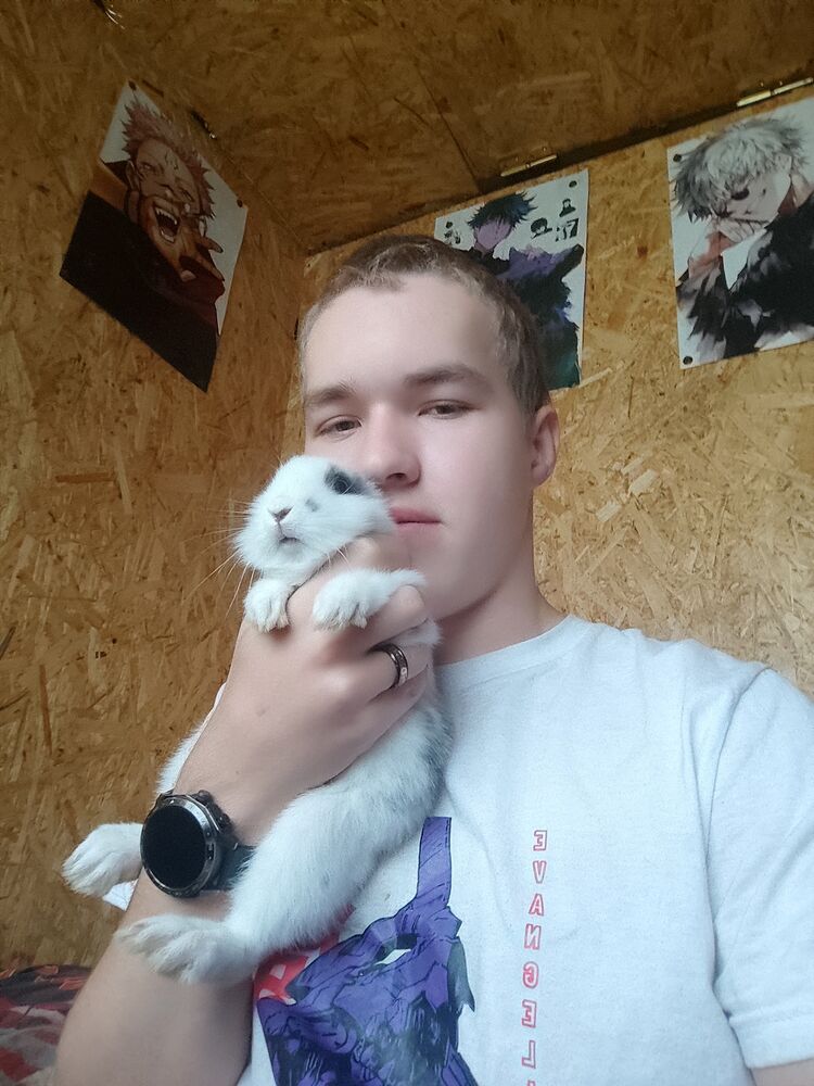 ���� 55954772 ����� ����, 18 ���, ���� ���������� � ������