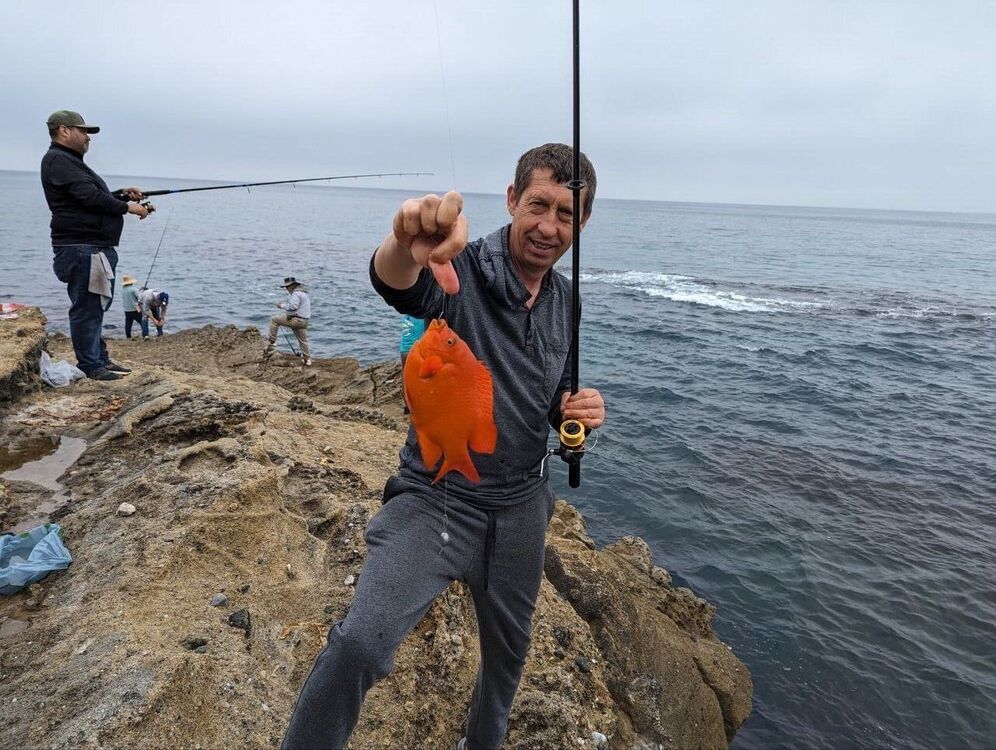 ���� 56125202 ������� �������, 54 ����, ���� ���������� � �����������