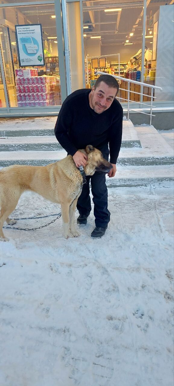 ���������� �����, ���� ������� Ҹ�, 46 ���, ������������ ��� ������, ����� � ���������