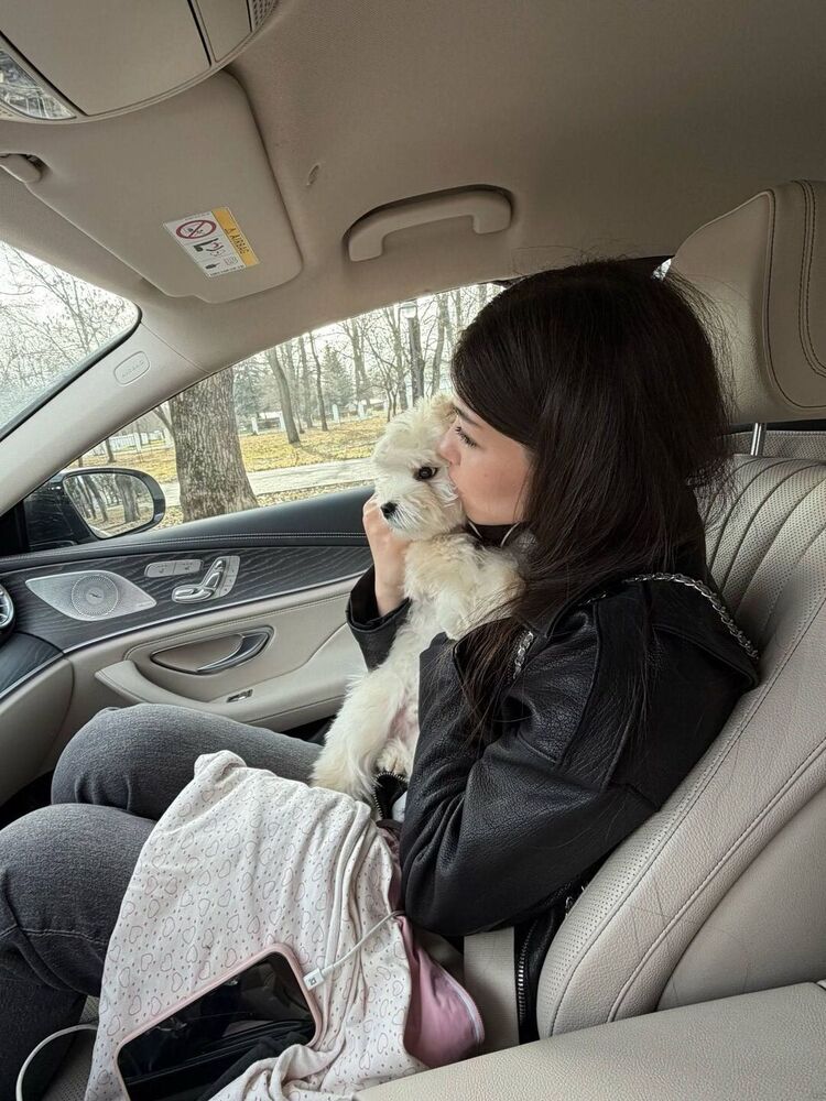 ���� 56422242 ������� ����, 19 ���, ���� ���������� � �����-����������